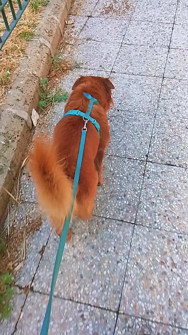 @massimo Santoro