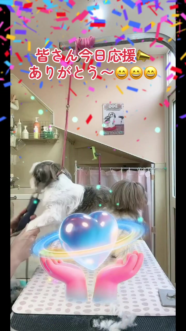 @❤️ぷりママ❤️