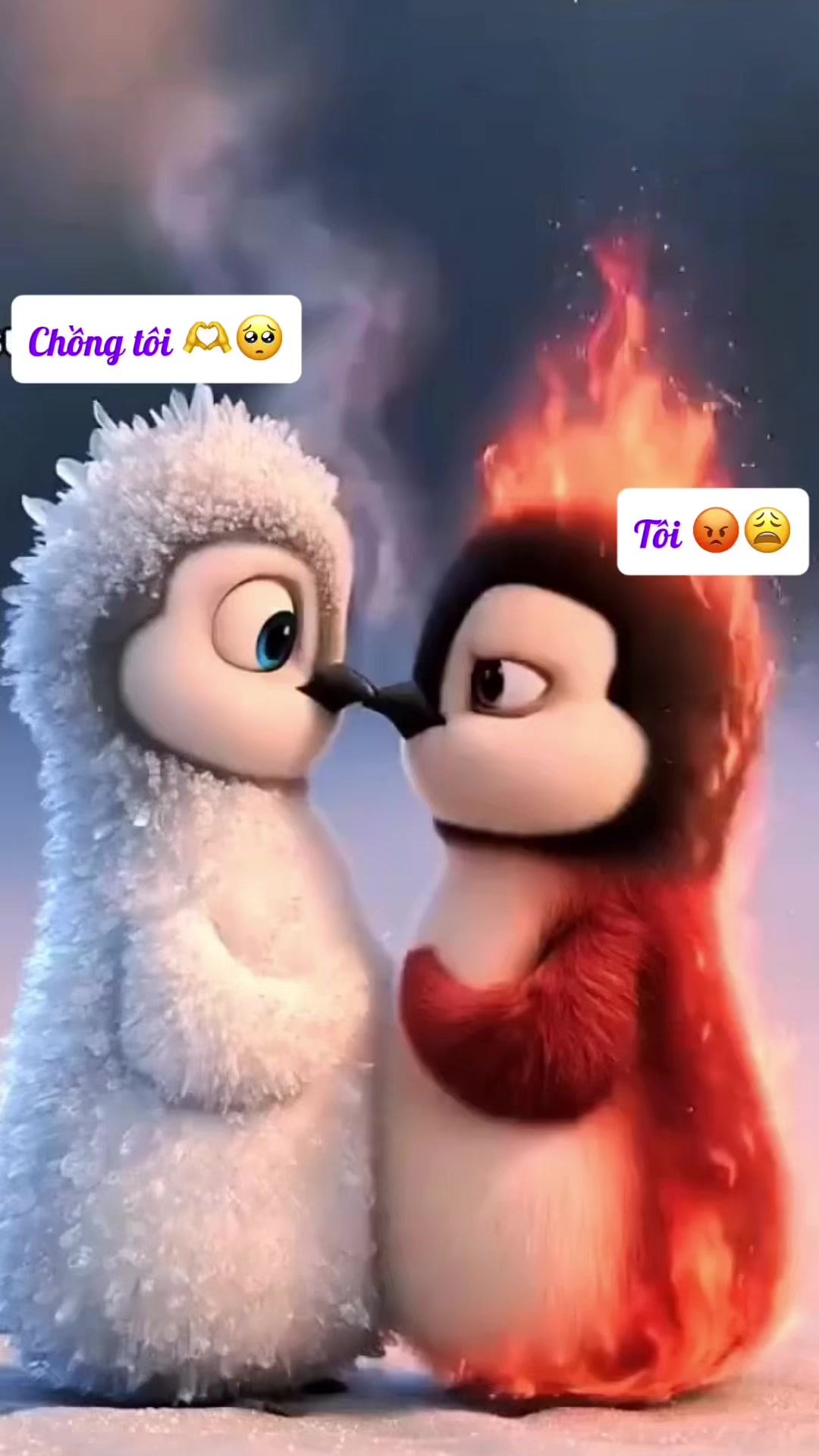 @Thuỳ Dung
