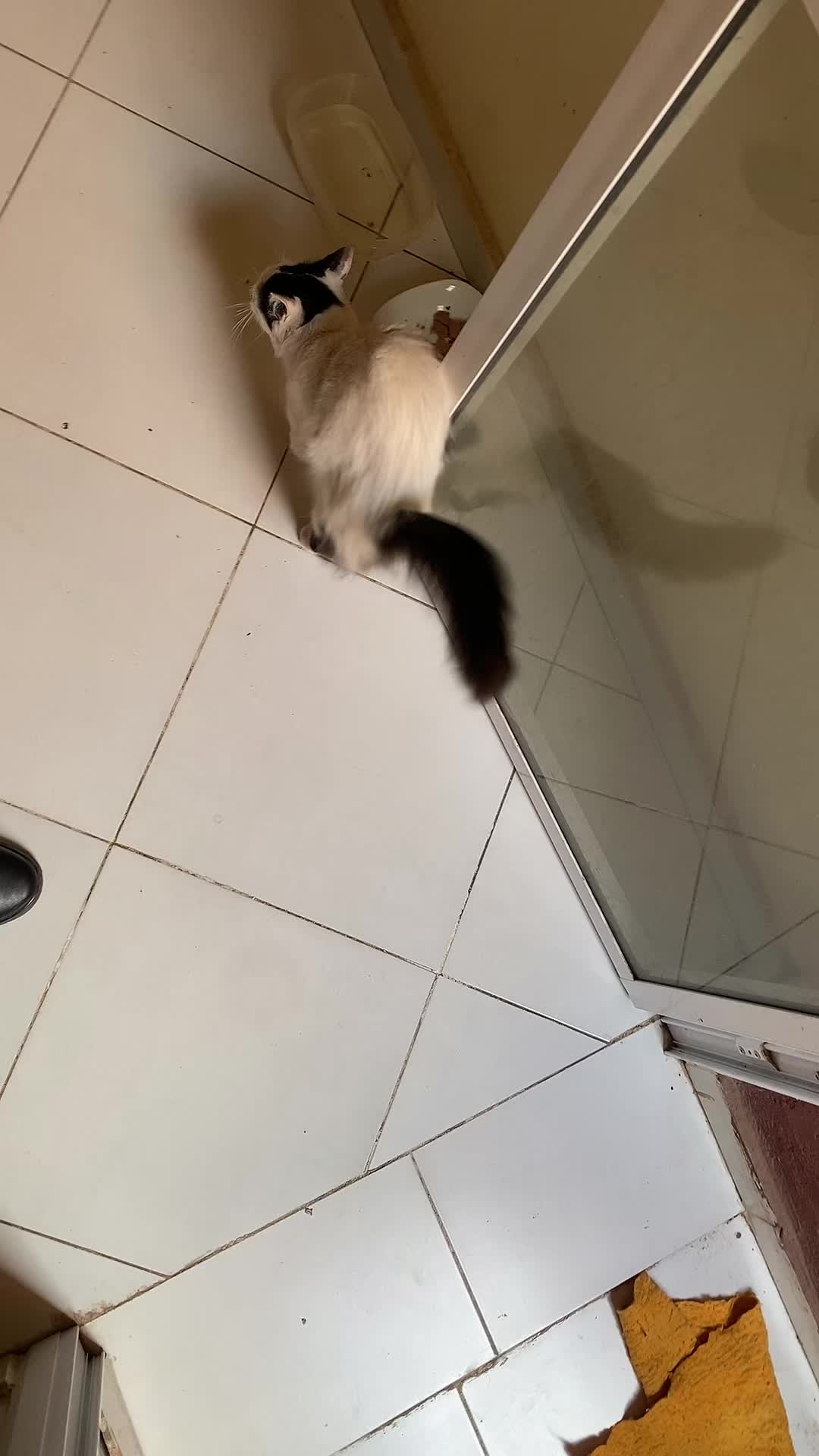 @yassa_amanii
