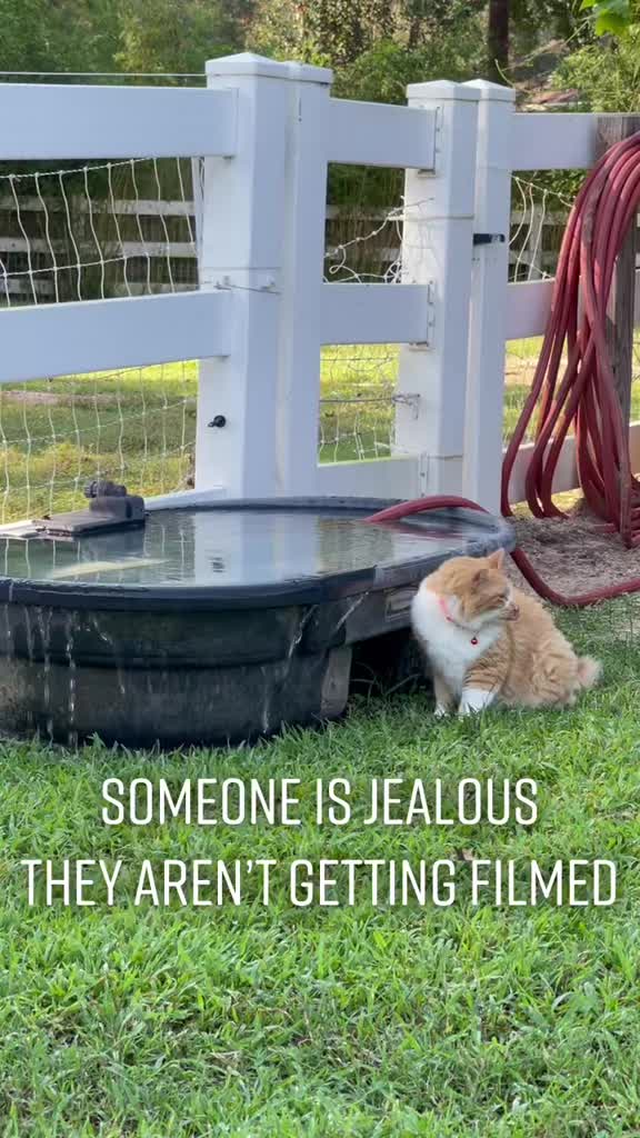 @Big Horse Farm Company LLC