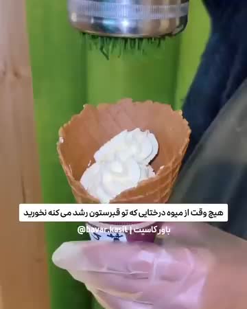 @bavar__kasit__1