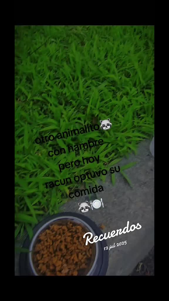 @🇲🇽Guli.Carrada 🐈⬛