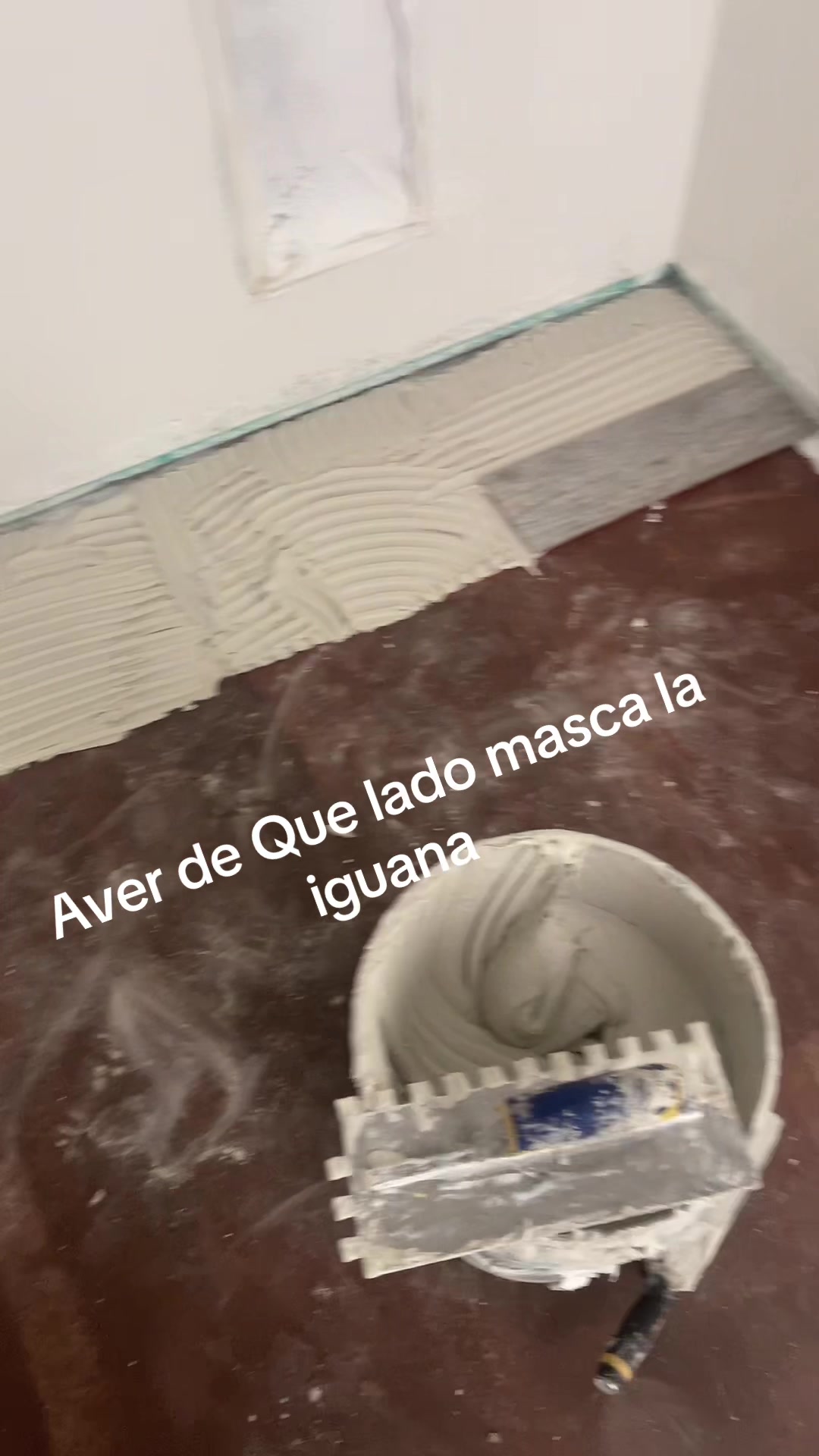 @Jona Hern&aacute;ndez