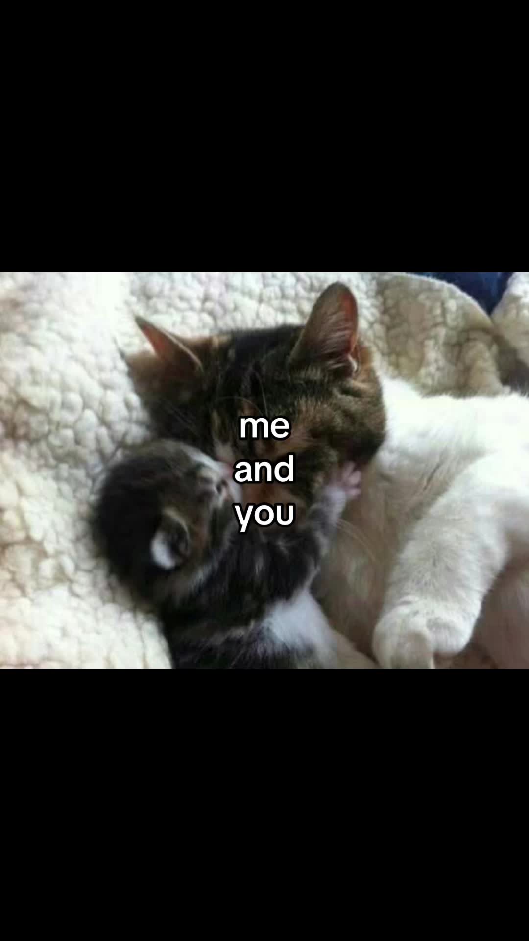 @cupcake