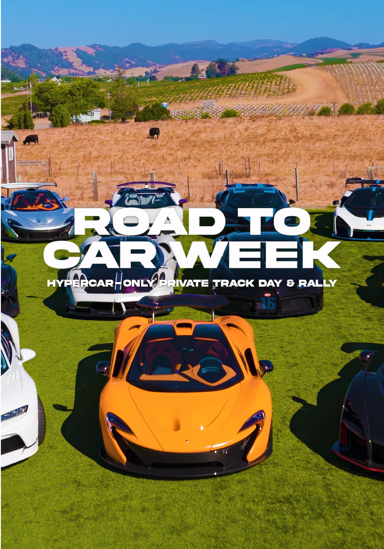 @theexoticsnetwork