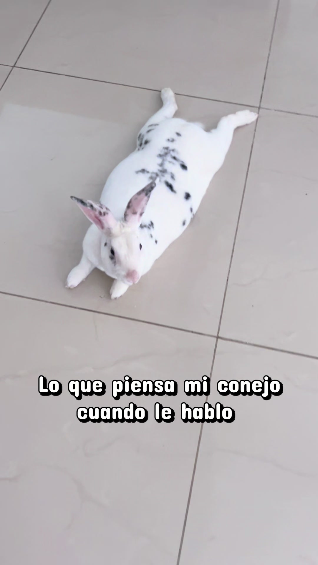 @Soy Luna