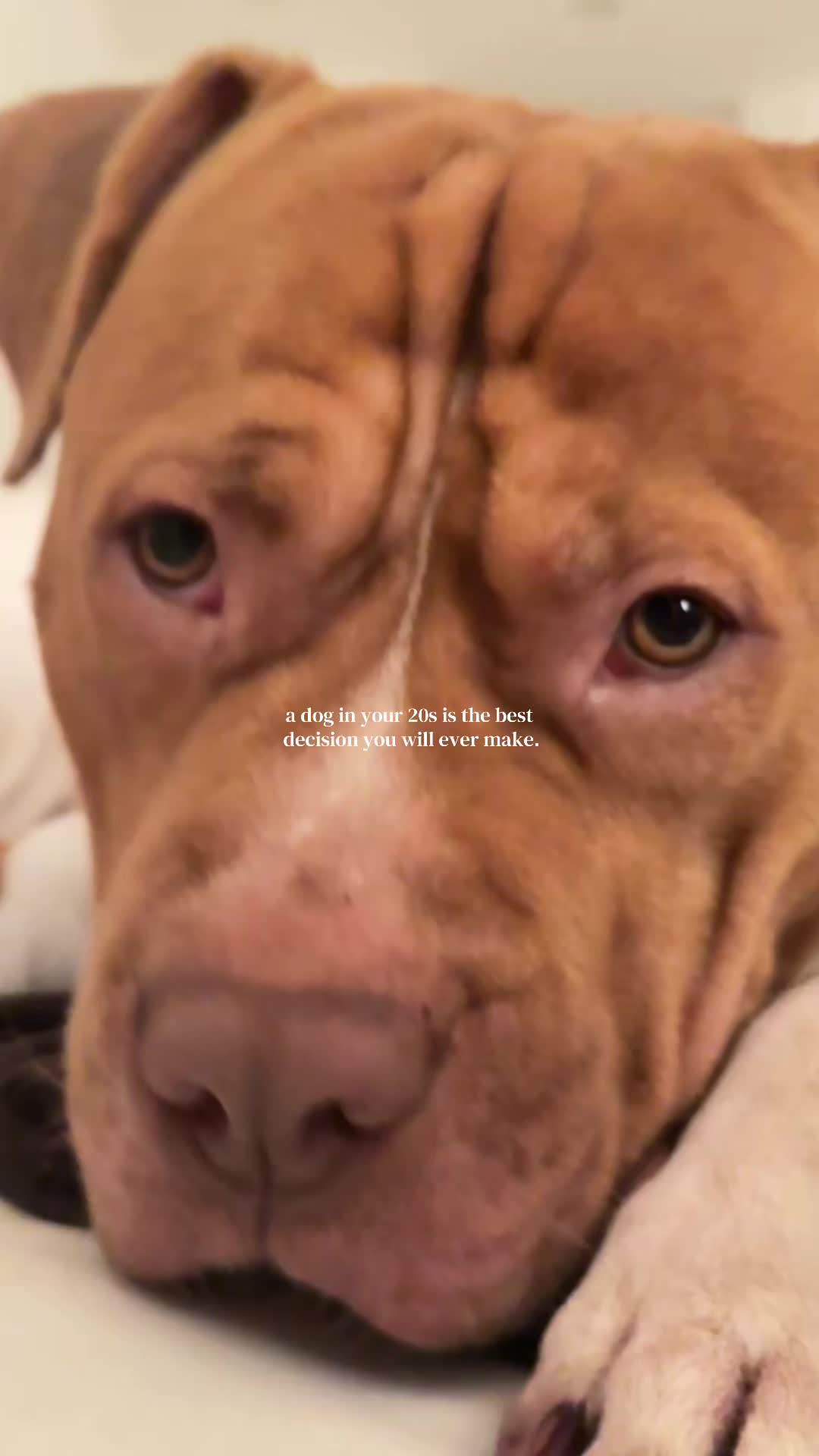 @jay