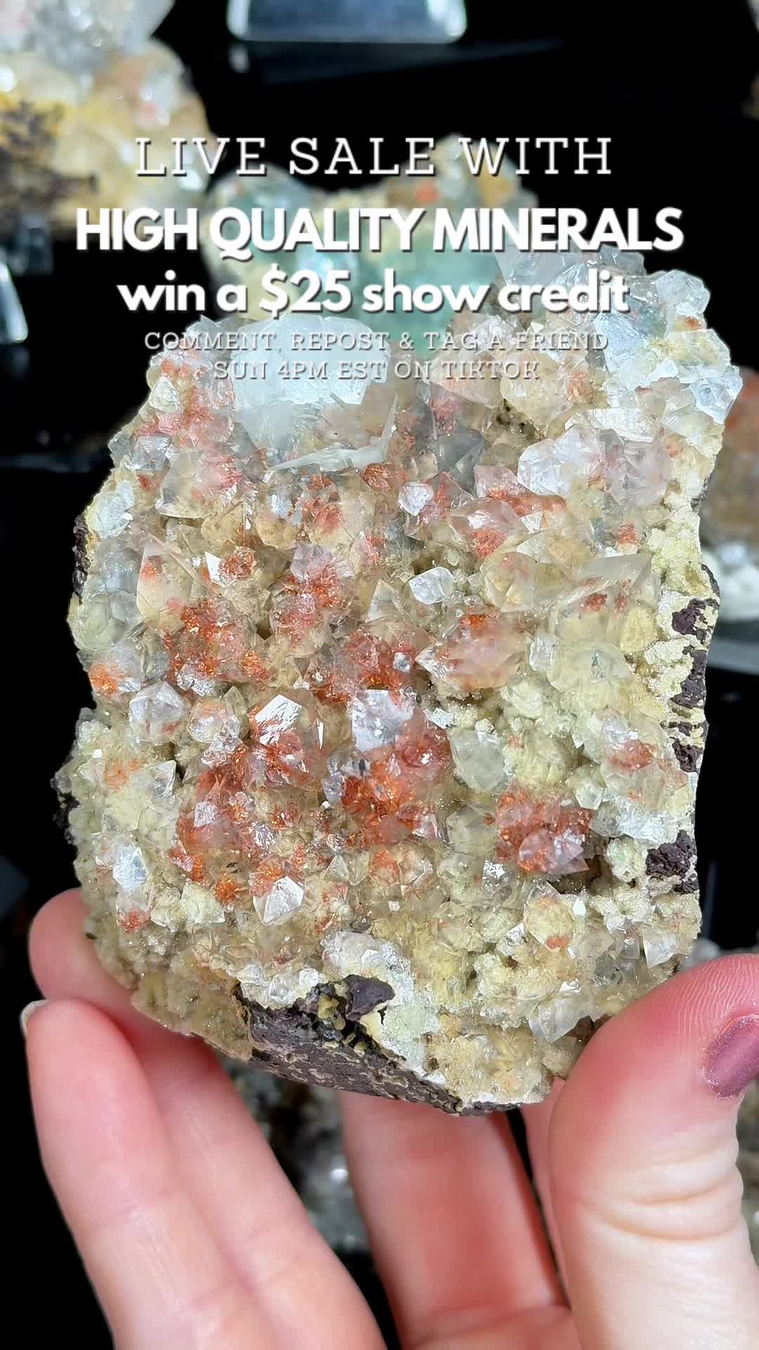 @Crystal Live Emporium✨Natalie