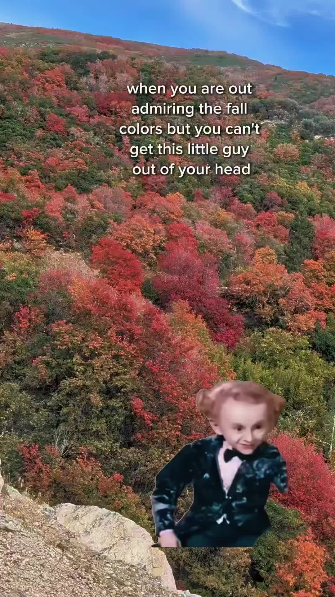 @Teri
