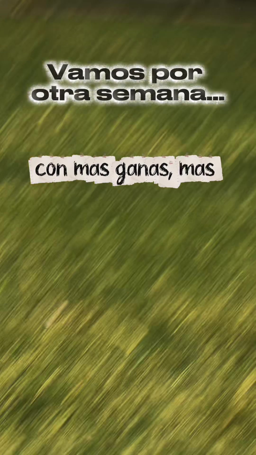 @Elidetodounpoco