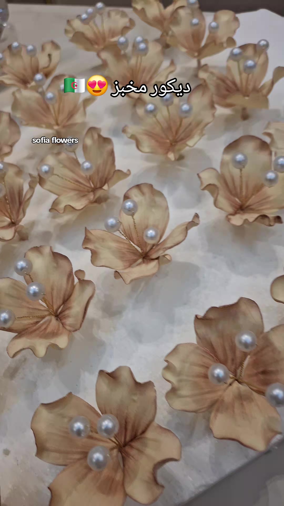 @✨️Sofia flowers✨️