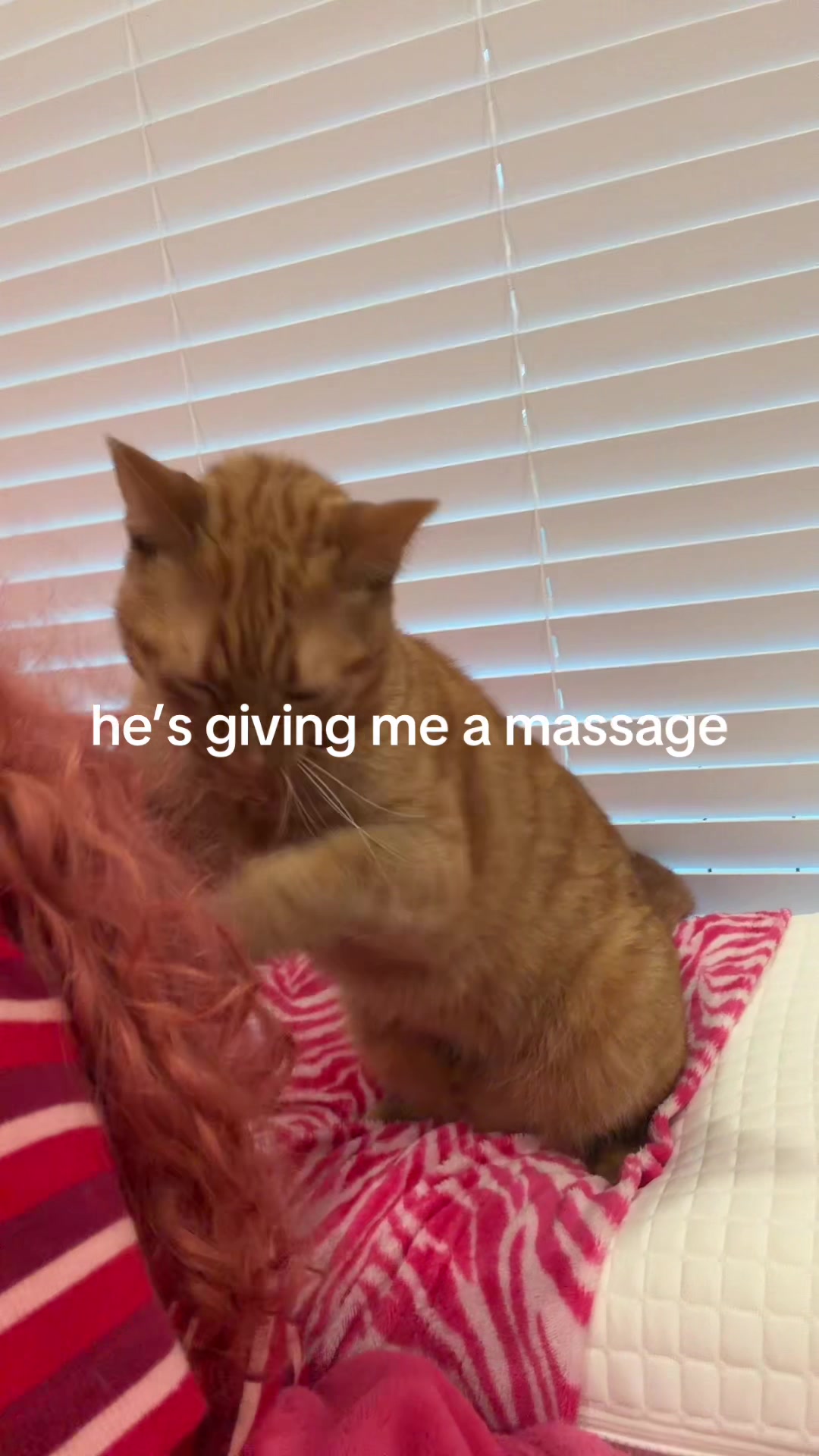 @sugarlacedheart