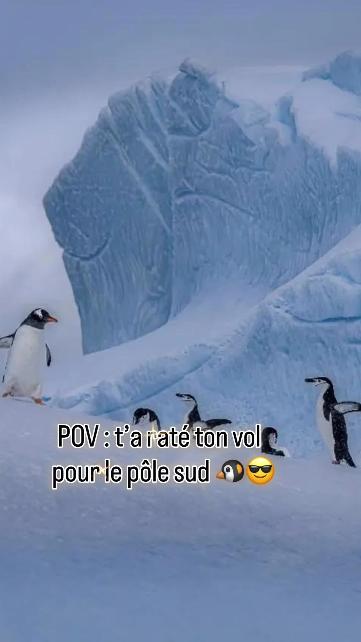 @les.chants.du.silence