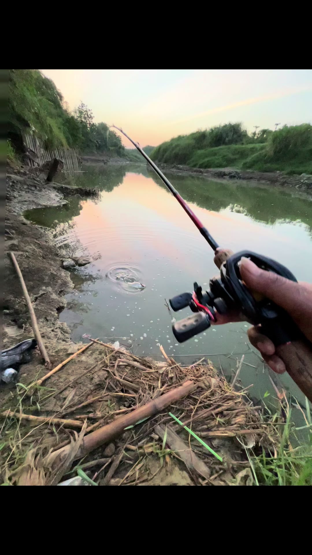 @MAFIA FISHING