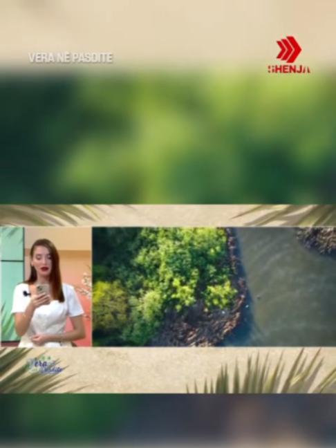 @TV SHENJA OFFICIAL