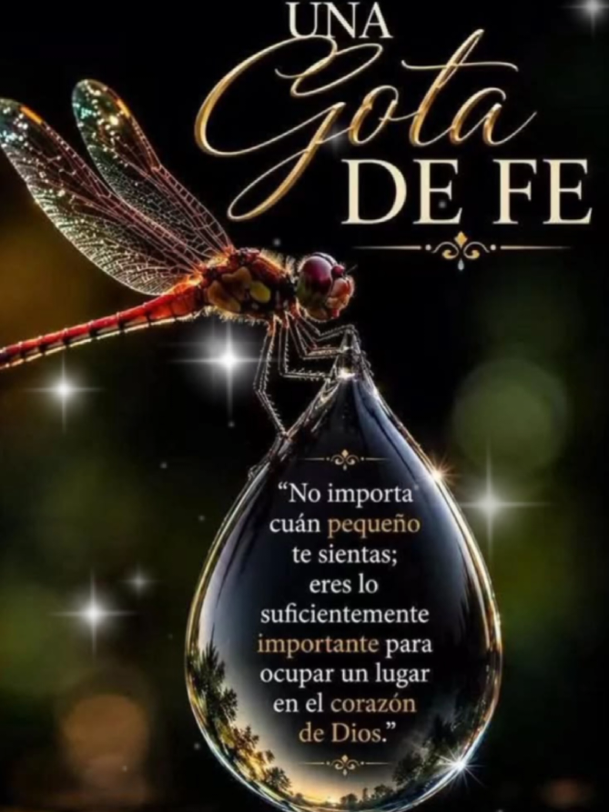 @✨Carlos 👍✨