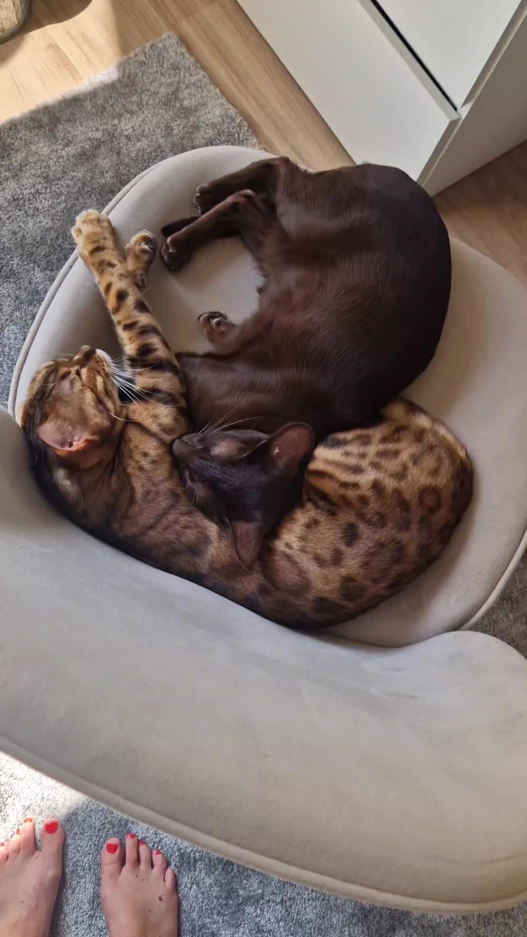 @Missjennyriepe