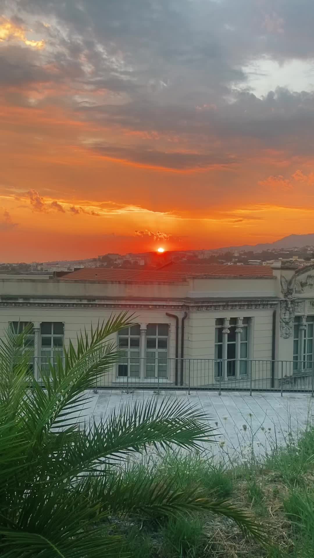 @Anna ✨️🩷⚘️🌊💄🦋