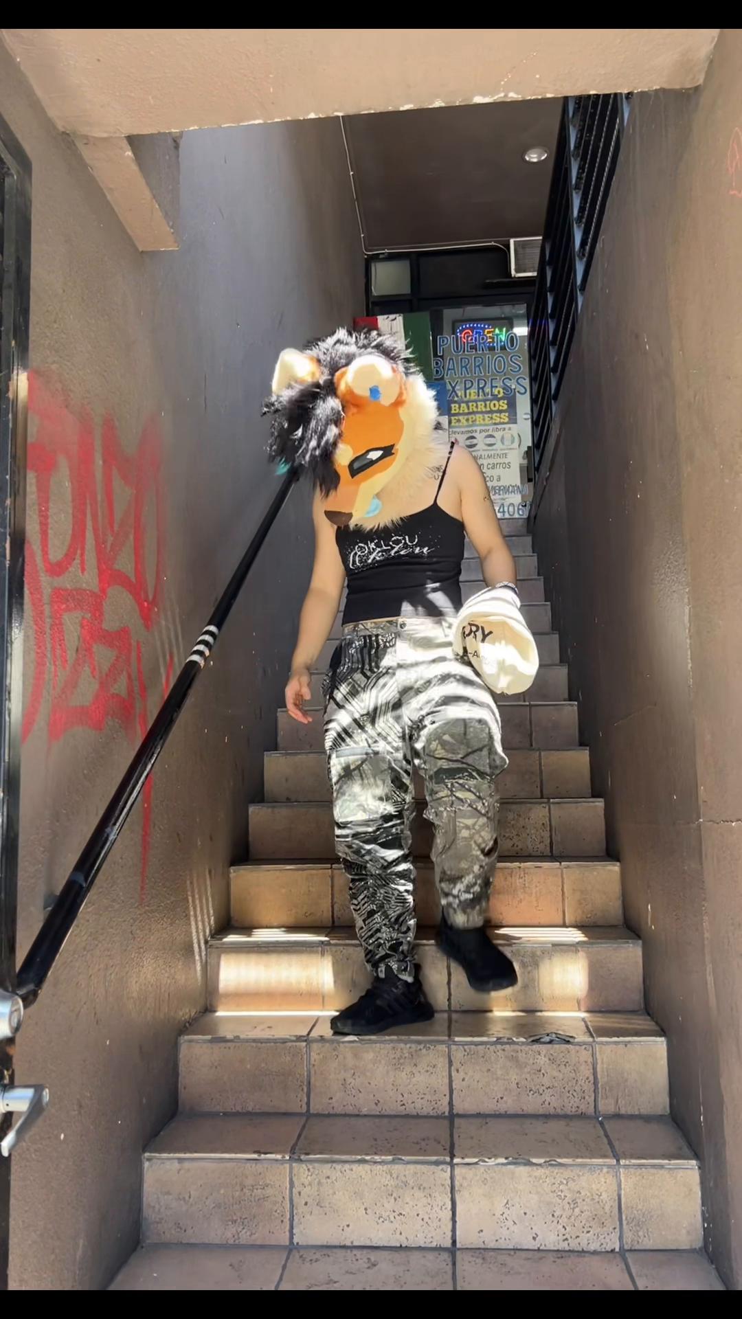 @a wolf named fox