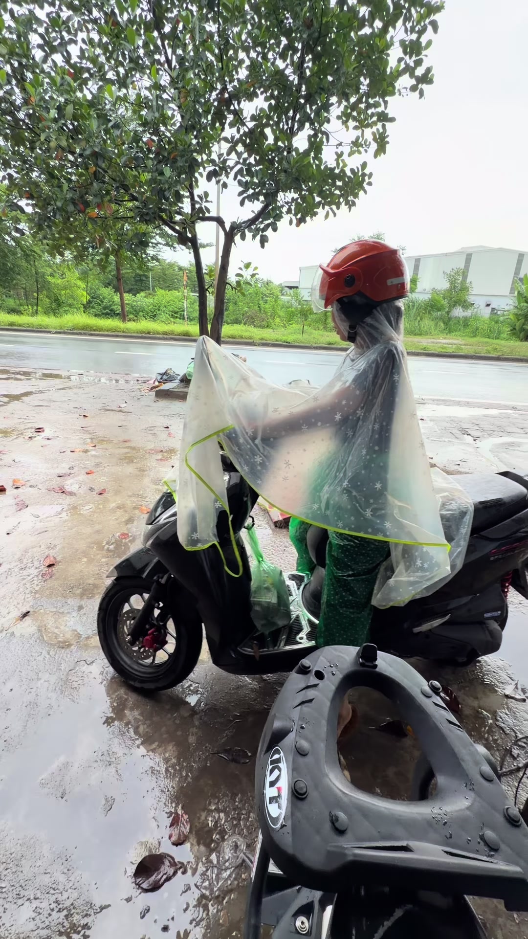 @Anh Dự Devil