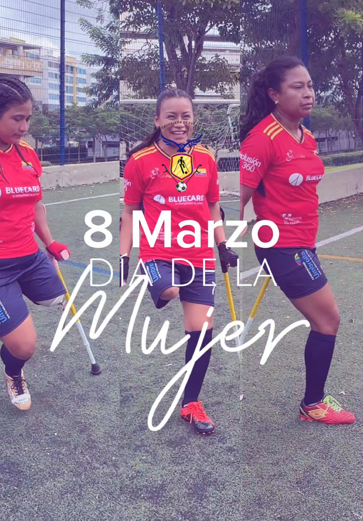 @comisionfutbolamputados.ec