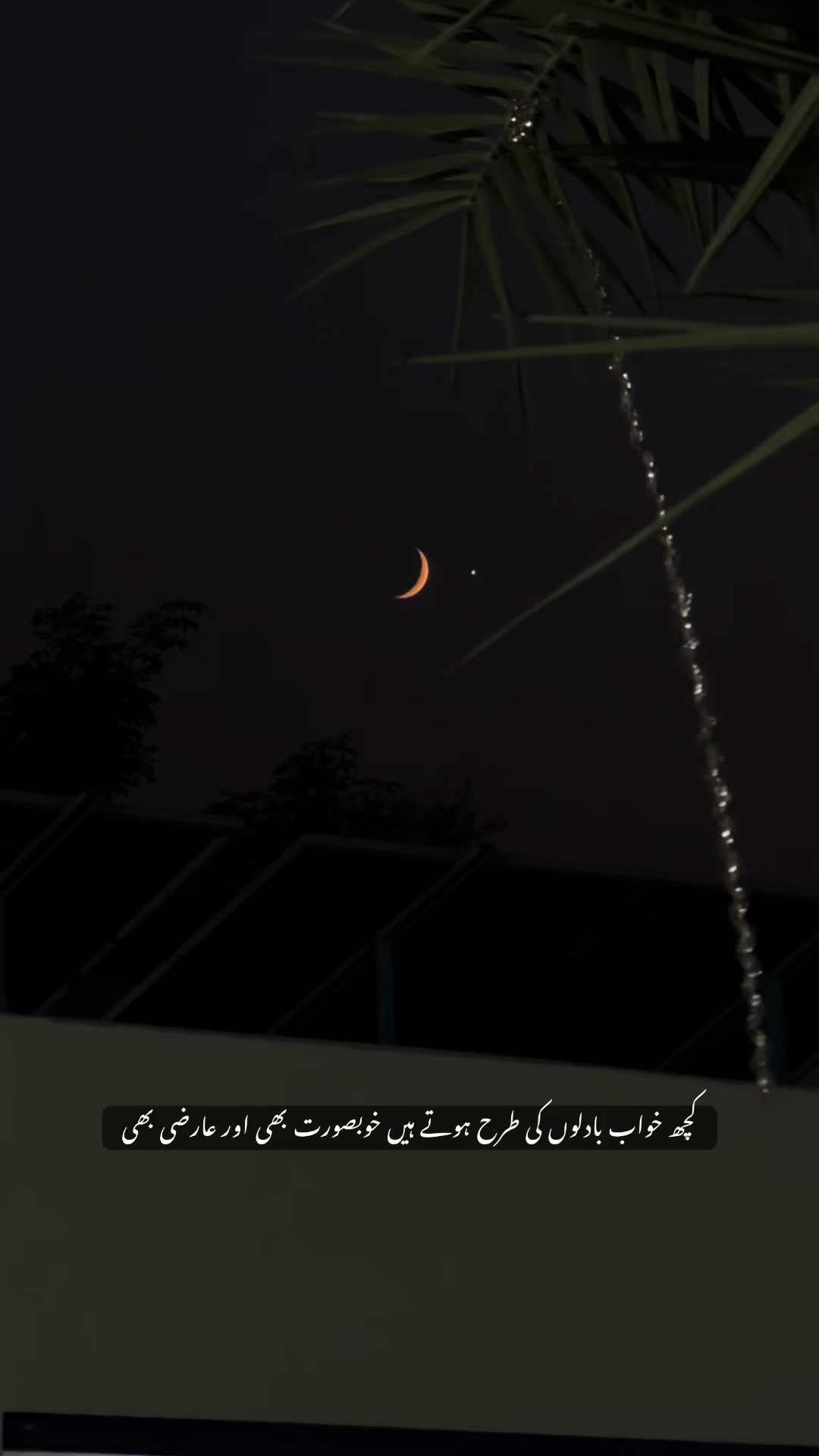 @حمزہ 💫🫀