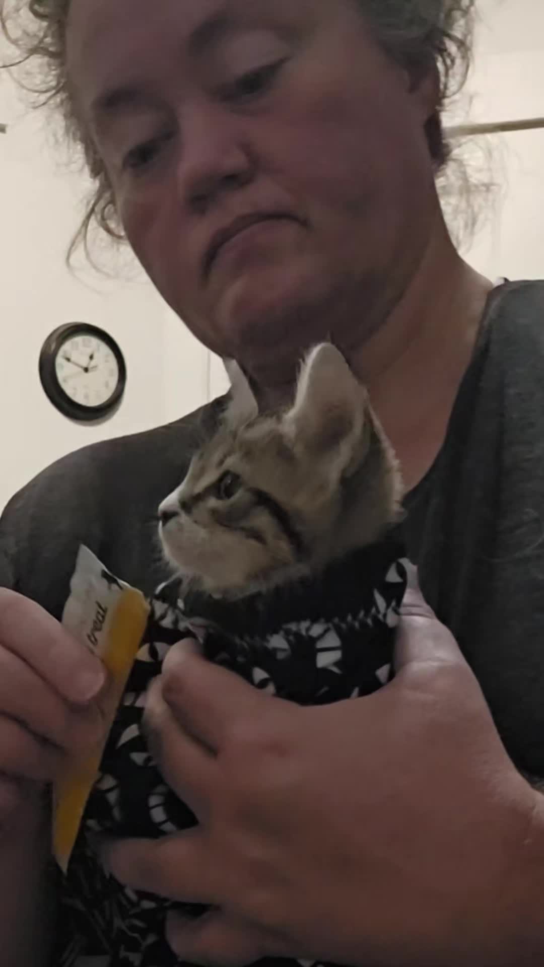 @UtahCatTrapper