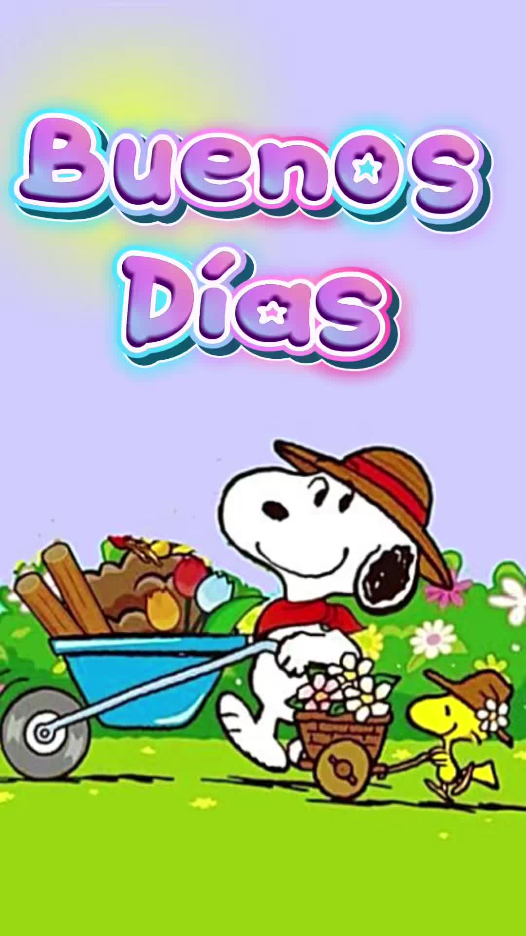 @Videos Creativos