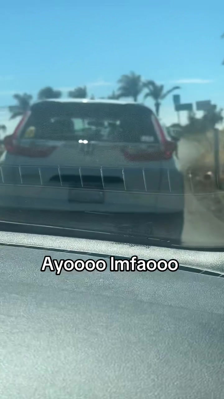 @Gomez🦅
