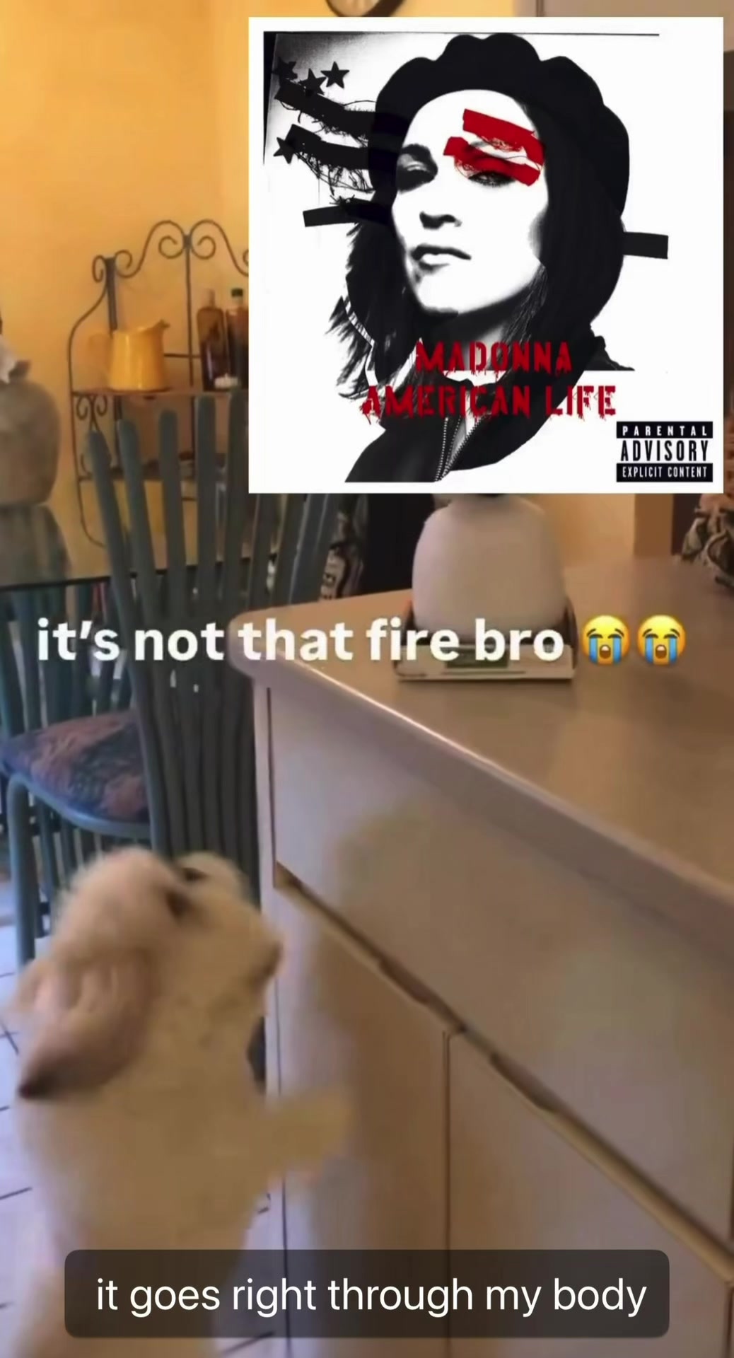 @trinastan4lifexyz