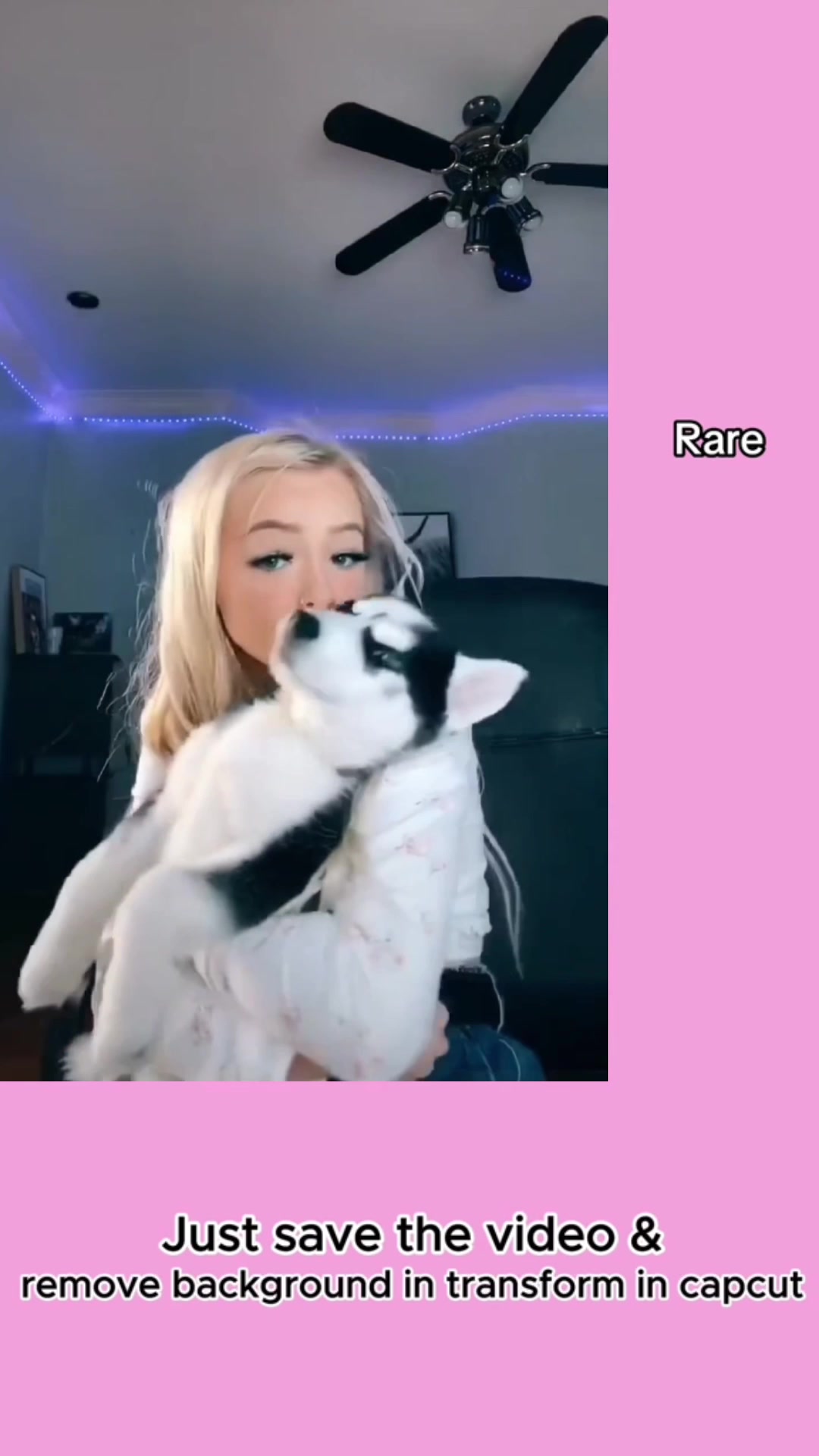 @LoveZoe💝