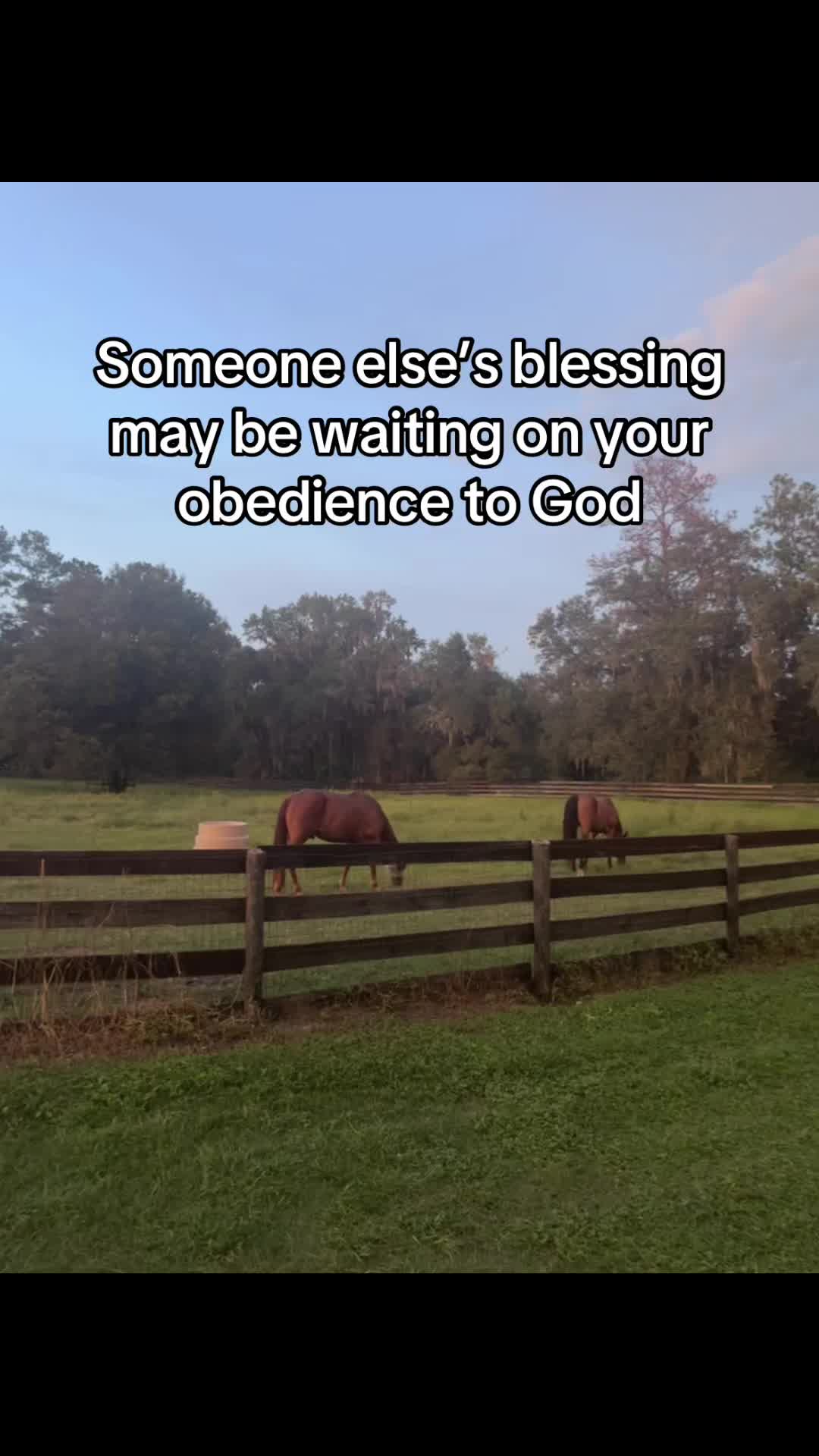 @itiswellstables