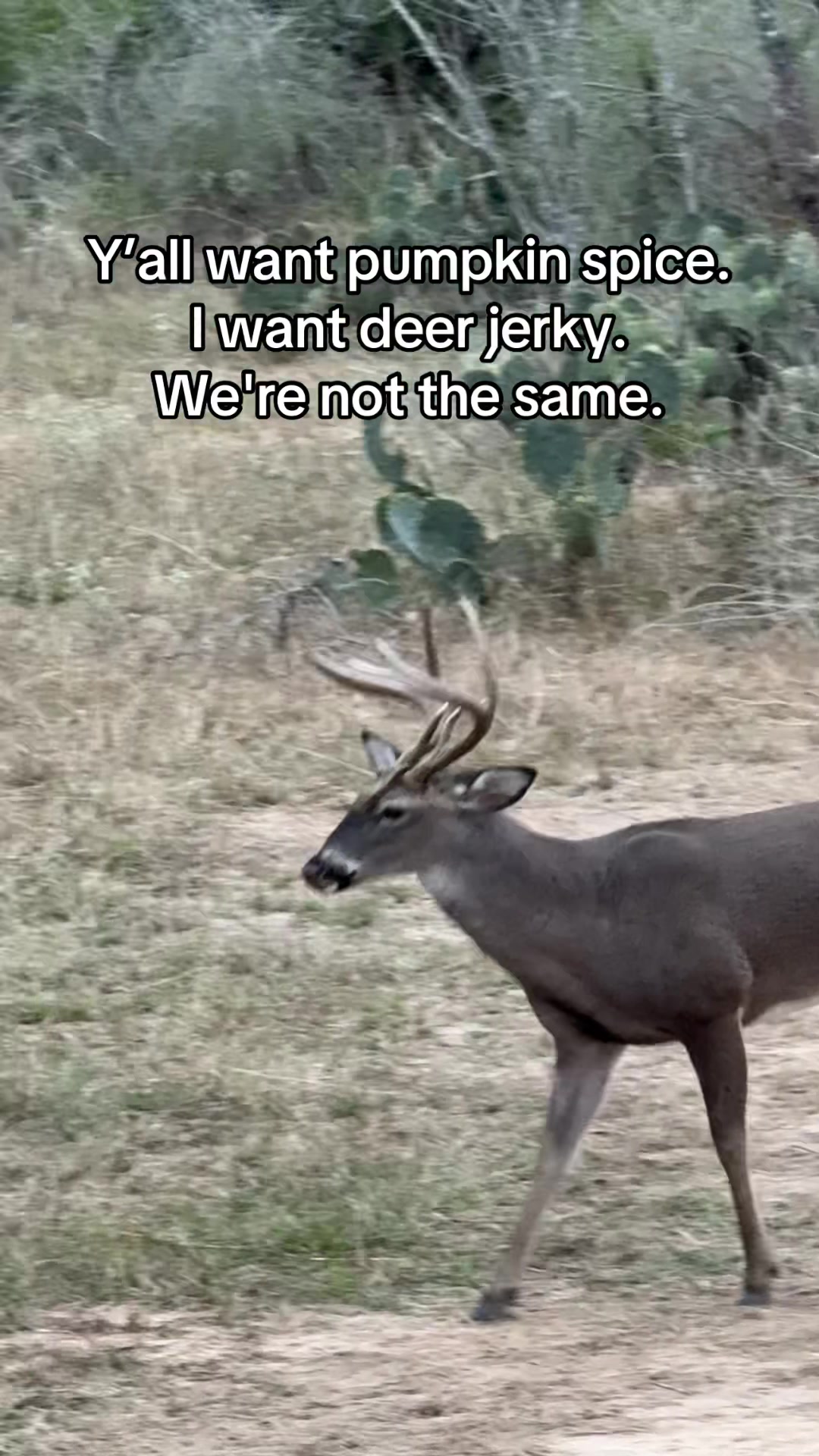 @Abby