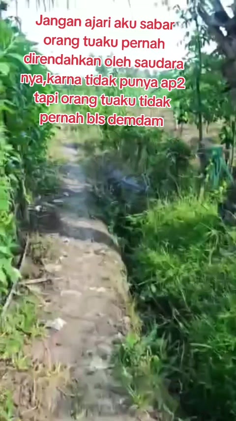@Dwi Yanie29