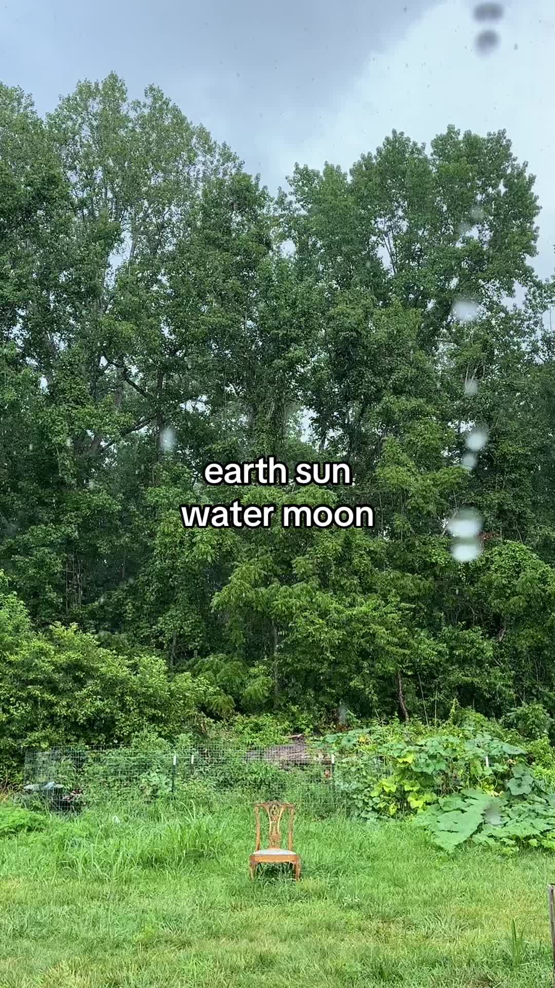 @farmerandtheharpiist