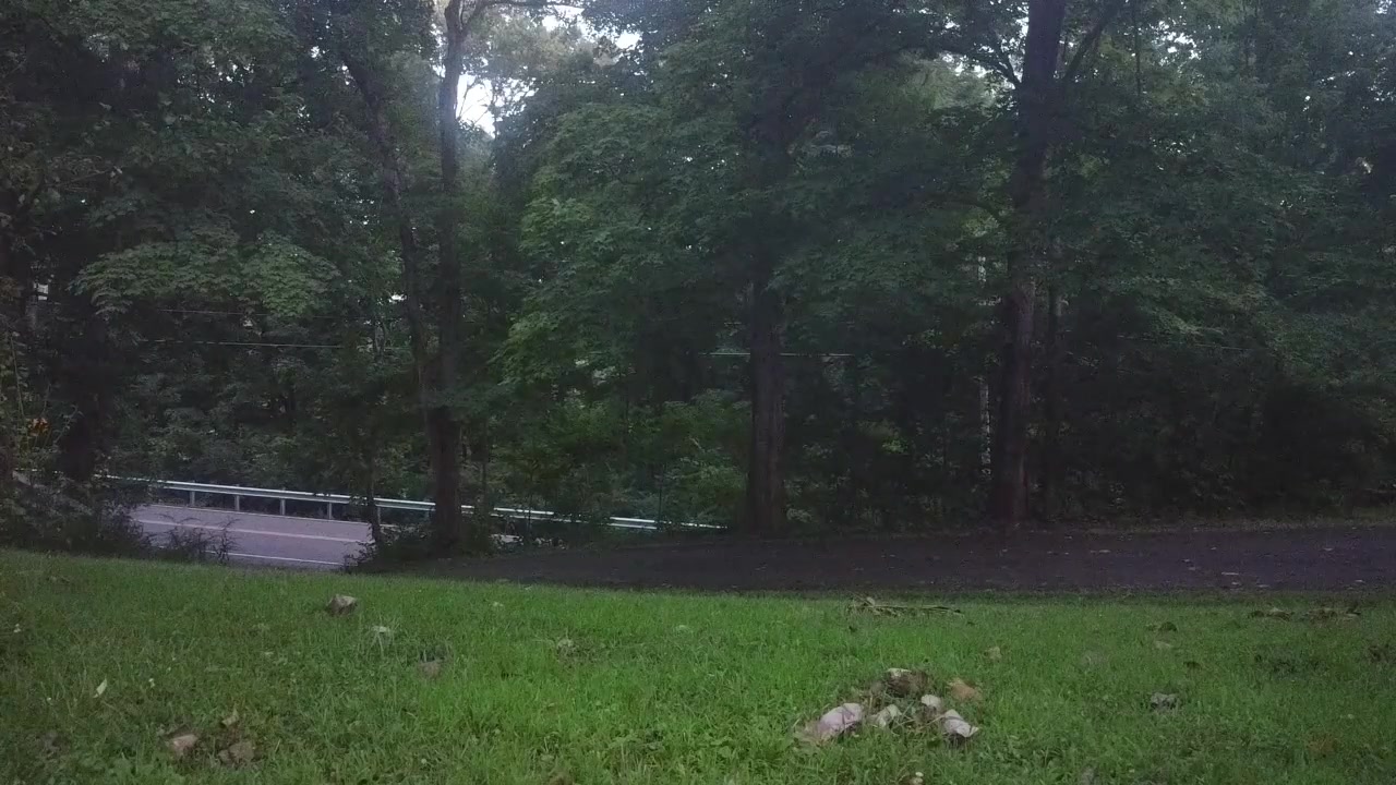 @Dodger331