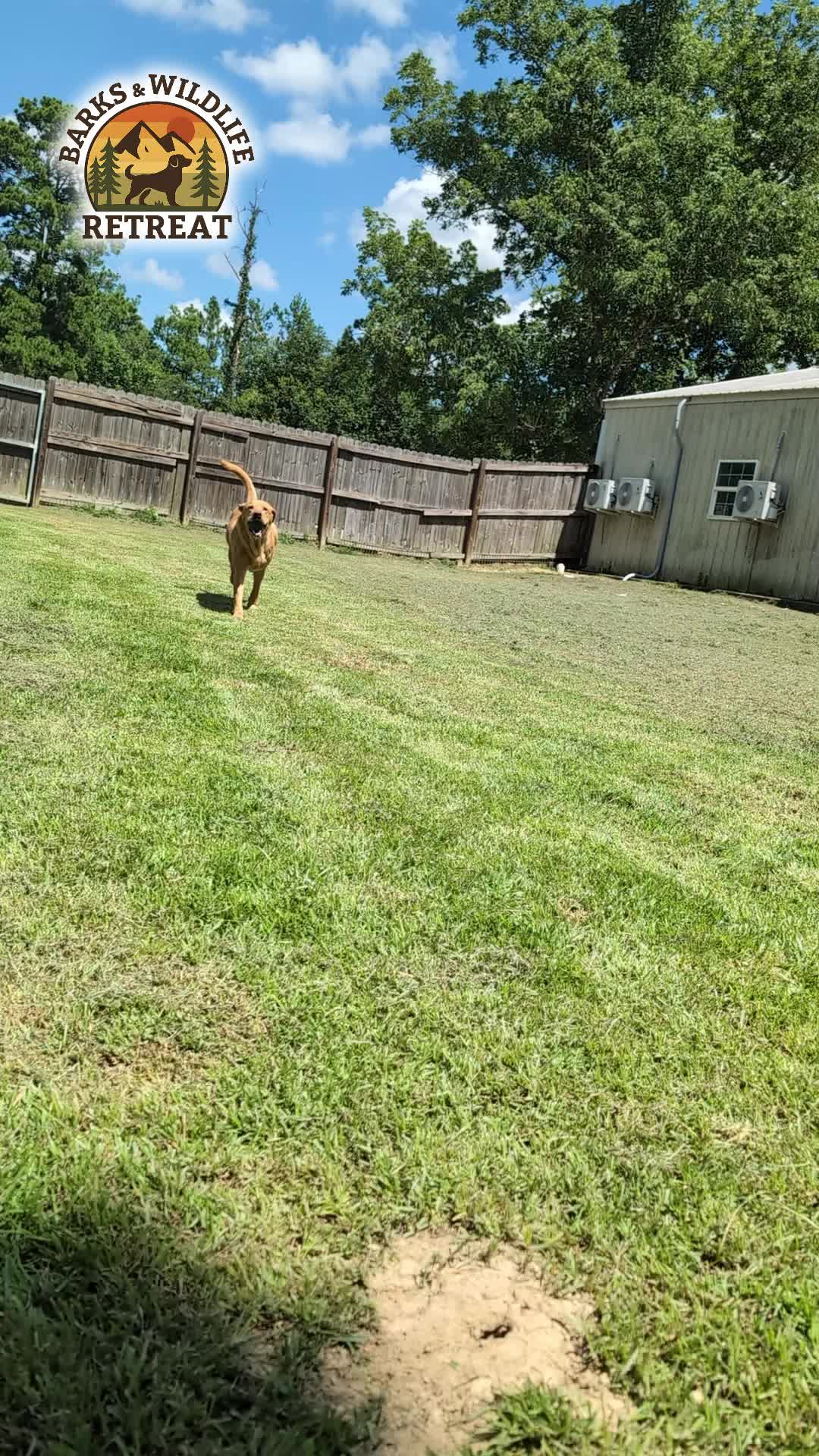 @Barks & Wildlife Longville LA