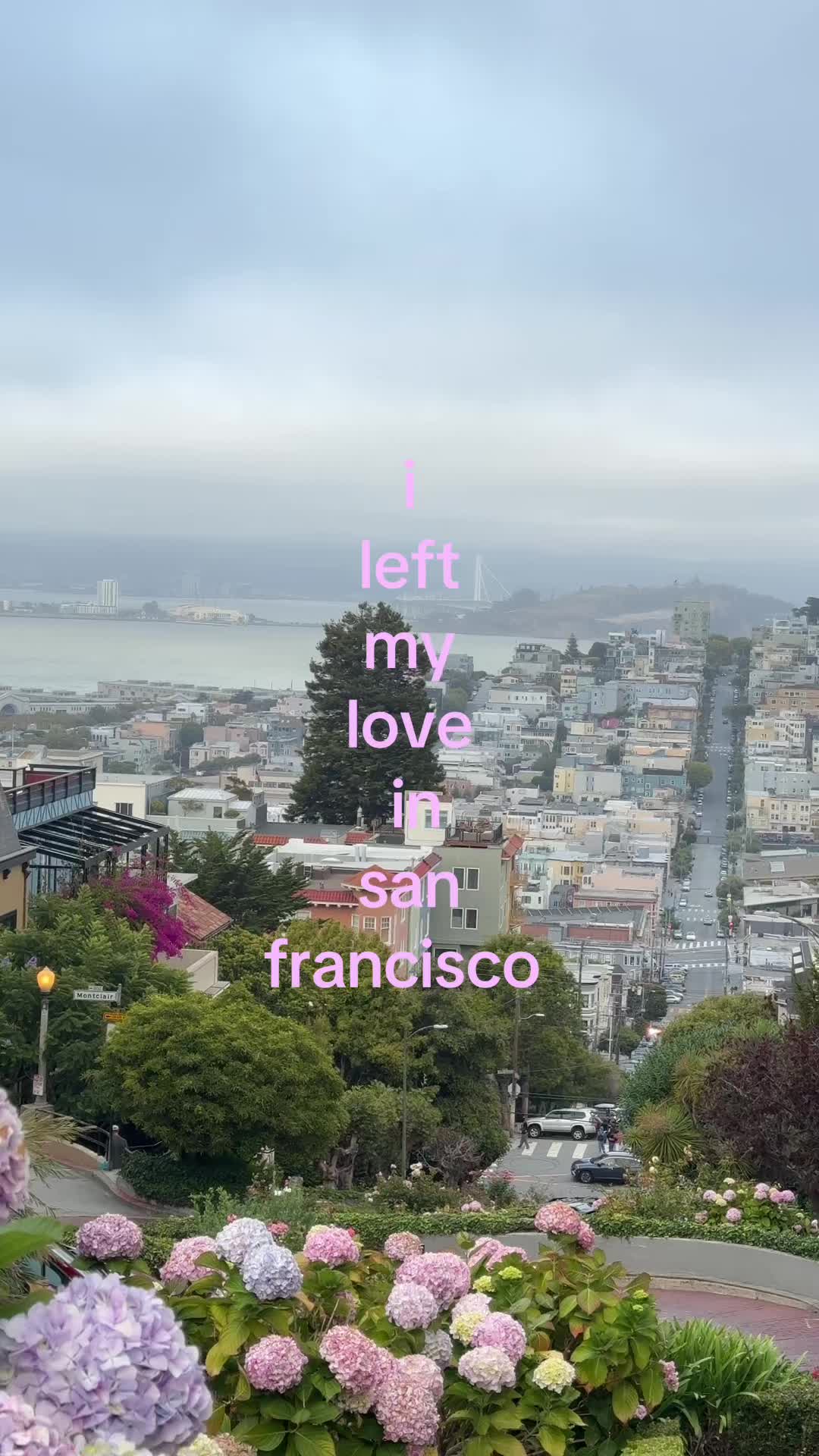 @maggiesdigidiary