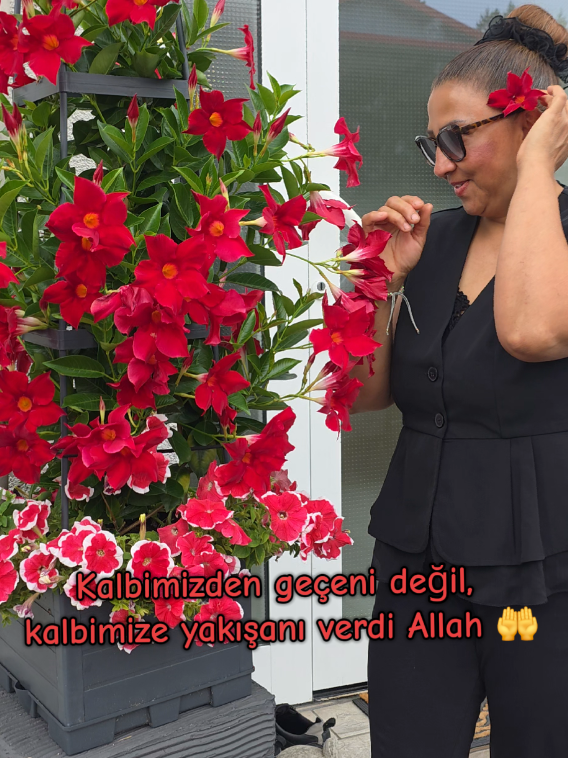@meralworld
