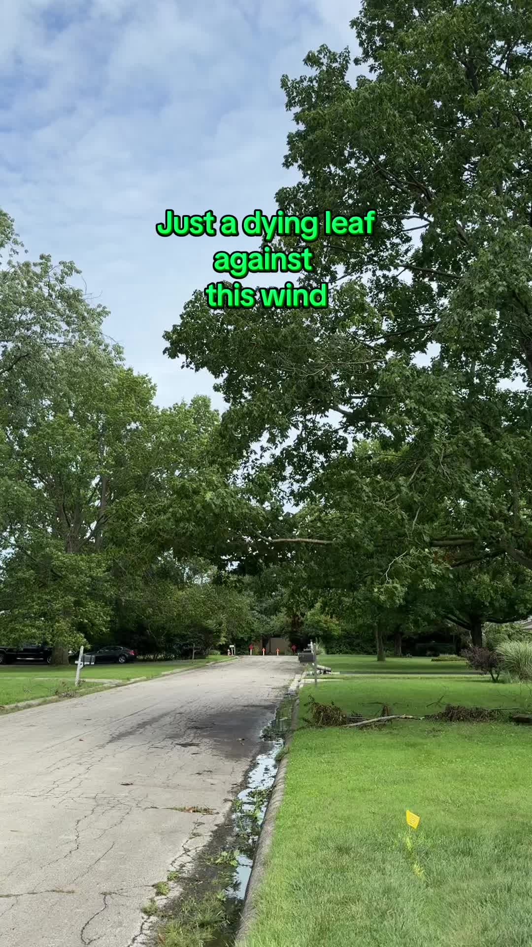 @james_ca_