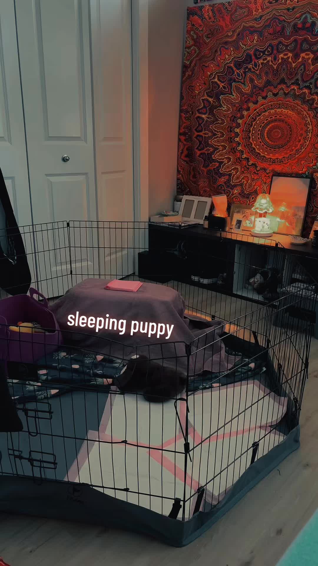 @stori