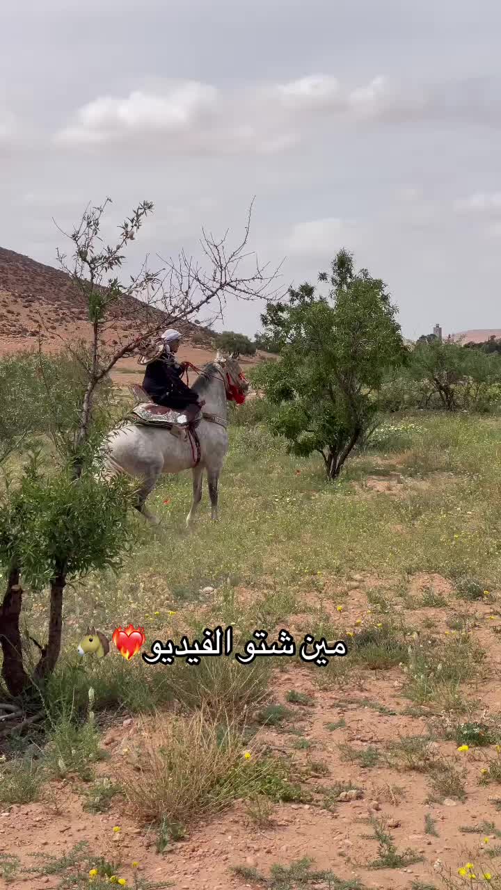 @mhiyaoui.48
