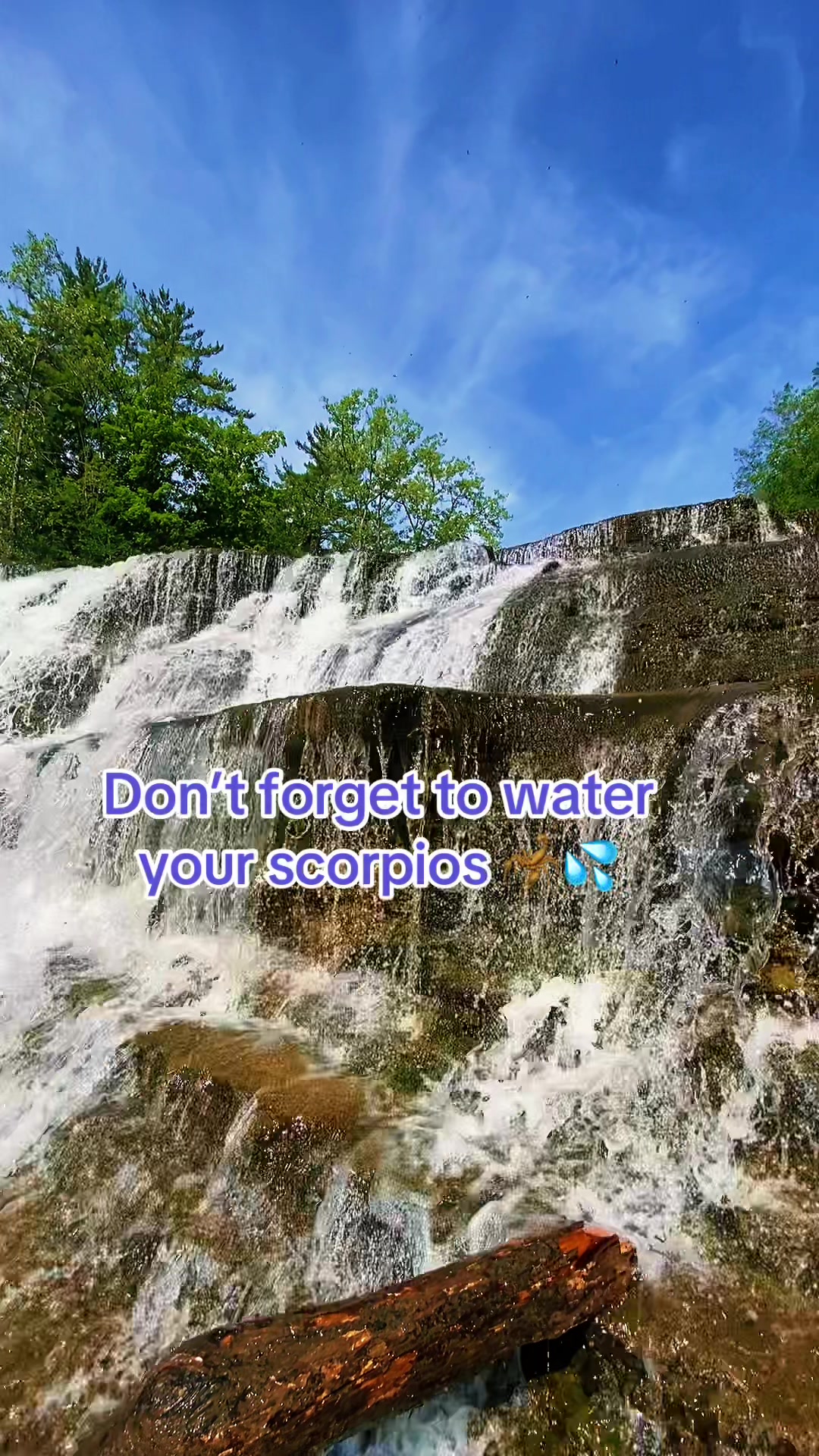 @𝔄𝔩𝔶𝔰𝔰𝔞