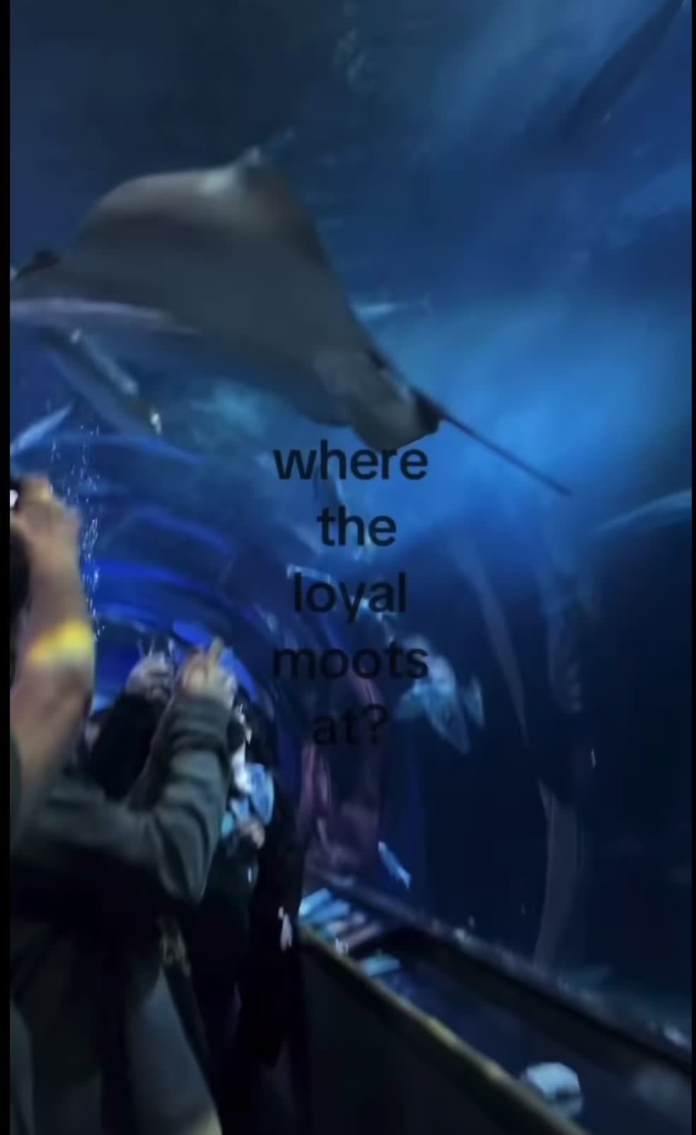@CJ