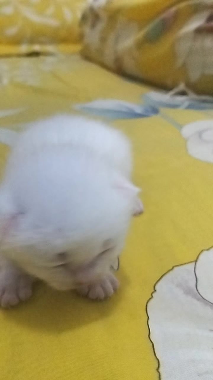 @Erma Mawing