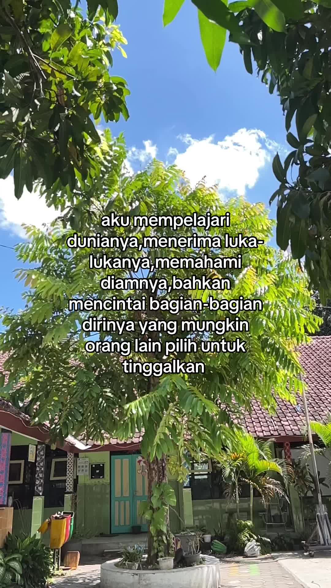 @Vitafaa🕊️