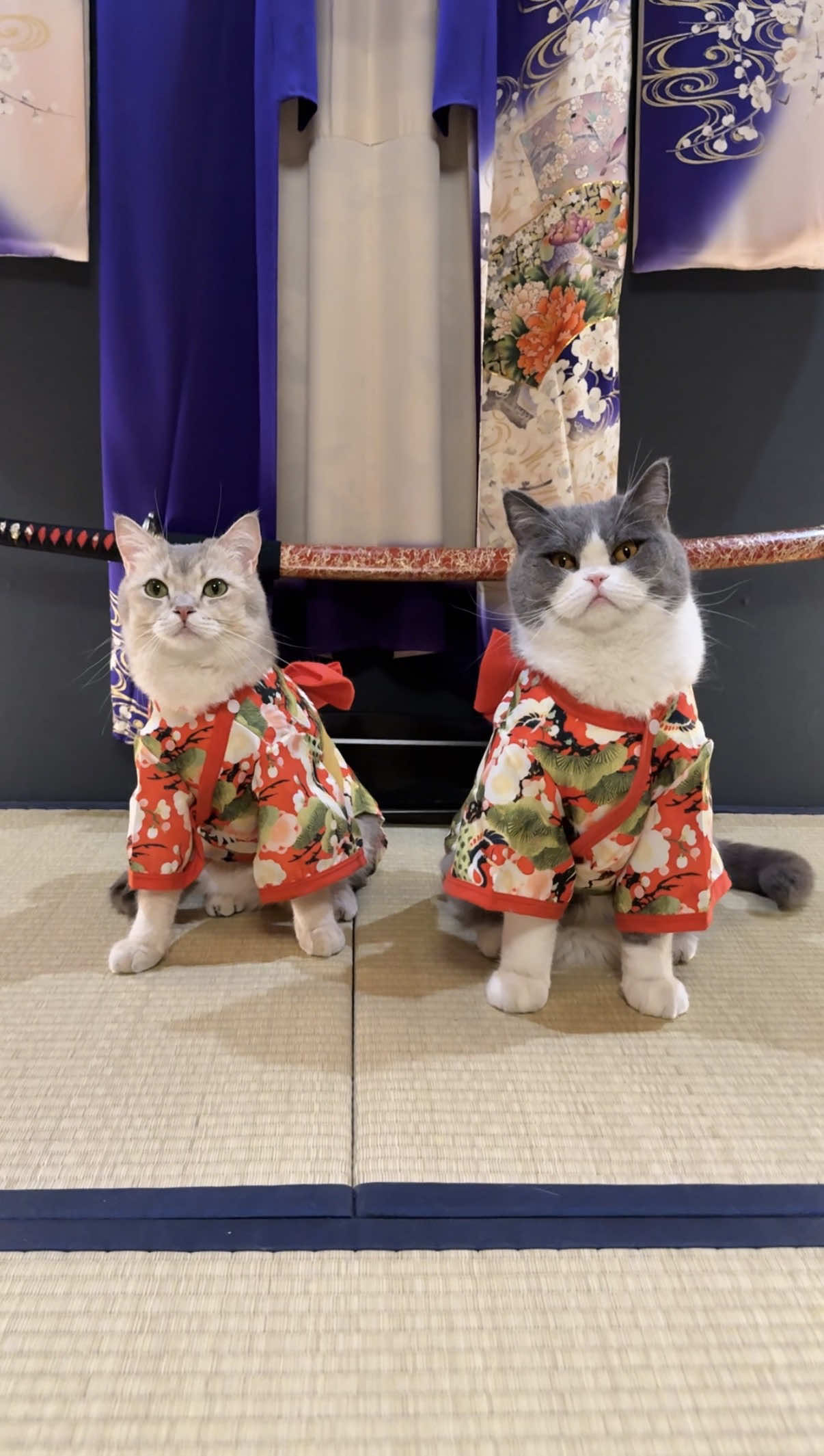 @Prince Louie 🦁 & Todd 🐼