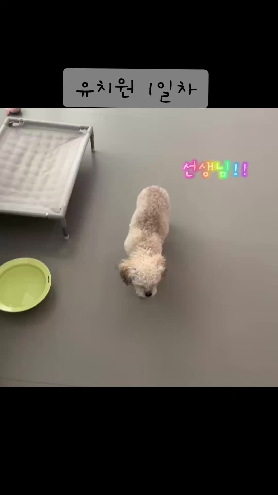 @토토엄마