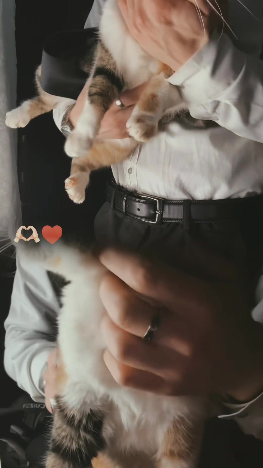 @Mooby ๐ฅ